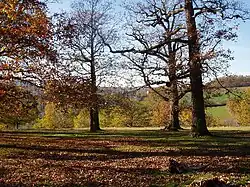 Stuttgarter Eichenhain