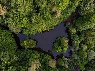 Luftbild des Eichensees