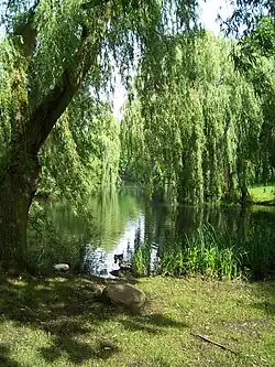 Eimsbütteler Park Am Weiher