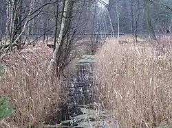 Bahnstrecke Brandenburg – Rathenow kreuzt