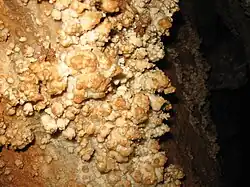 Perlsinter, durch Lehm verfärbt