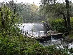 Anstau Eisweiher Fischbach (Oktober&nbsp;2010)