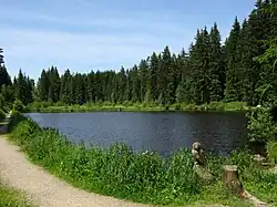 Eisweiher bei Titisee (Juni&nbsp;2014)