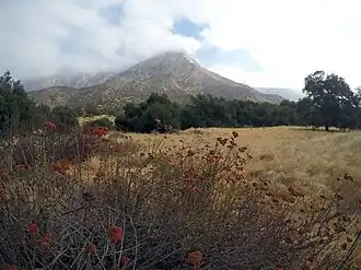 El Cajon Mountain Südseite