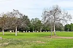 Bogenschieẞanlage im El Dorado Regional Park, mitten auf einer Wiese mit lockerem Baumbestand reihen sich die Zielscheiben