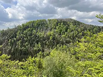 Blick über das Elendstal auf den Barenberg