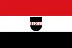 Flagge des Ortes Ellewoutsdijk