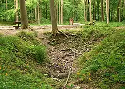 Erdloch eines eingefallener Kellers