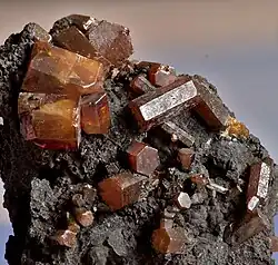 Längliche orange Vanadinit-Kristalle aus Mibladen, Marokko (Bildbreite ca. 25 mm)