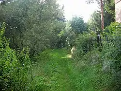 Radweg bei Leubetha (Vogtland), von Adorf kommend