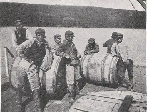 Labrador: Fellverladung in Fässern (vor 1912)