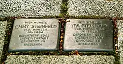 Stolpersteine gegen das Vergessen in der Brabeckstraße, hier für Emmy und Ida Steinfeld