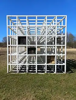 The Insect Societies