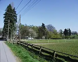 Blick aus Westen durch die Rotbuchenreihe