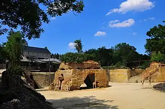 Anlage für Giraffen