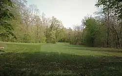 Immer wieder öffnet sich der Wald mit Blick auf ausgedehnte Wiesen