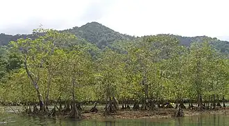 Parque Nacional Natural Utría