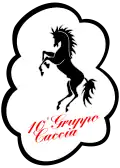 Wappen 10° Gruppo