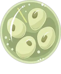 Vierkernige Zyste, Schemazeichnung