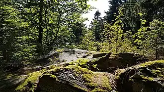 Gipfelfels des Entenbühl