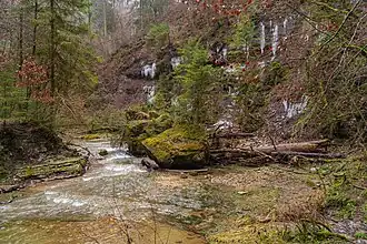 Im engsten Teil der Gauchachschlucht