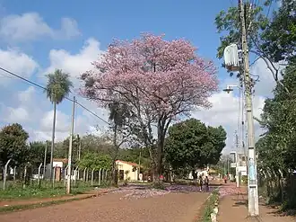 Im Barrio Rocío von Capiatá
