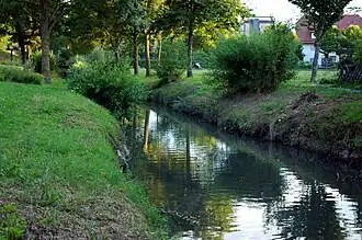 Elsenz in Eppingen (2017)