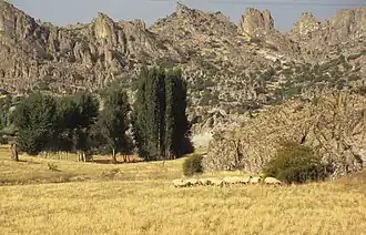 Das große vulkanische Massiv des Erenler Dağı trennt die verkarsteten Becken des Suğla- und des Beyşehir-Sees von der Konya-Ova und damit vom zentralanatolischen Hochland.