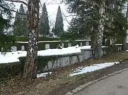 alternative Beschreibung