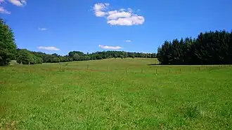 Die Erkelshöhe von Wiesen gesehen