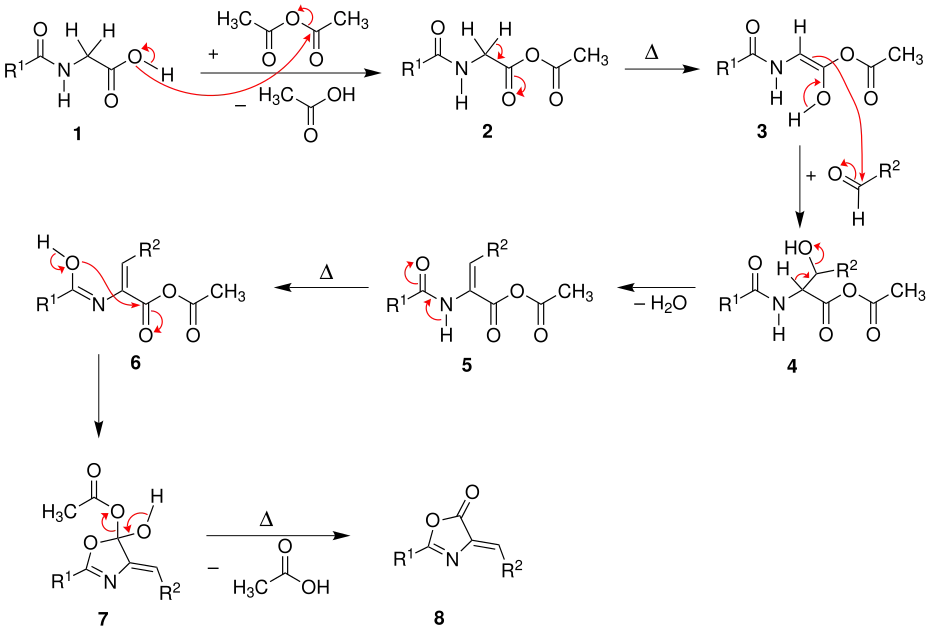 Mechanismus der Erlenmeyer-Reaktion