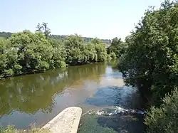Mündung der Erms (rechts)