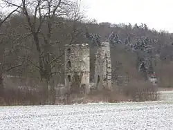 Ruine der Niedernburg in Brenken