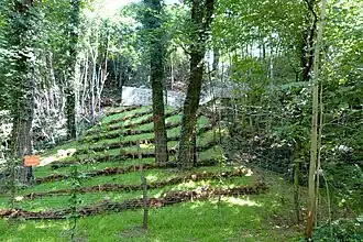 Juni 2014 Hang Georgenberg nach Sanierung