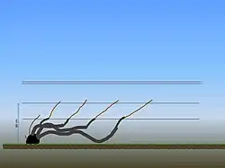 Schematische Darstellung der Fächererziehung in Chablis