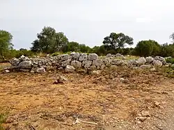 Doppelkammer-Naviforme des Bereichs&nbsp;V