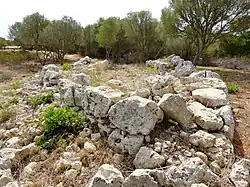 Naviforme des Bereichs&nbsp;IV