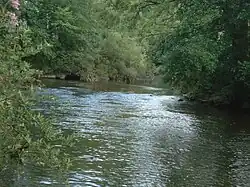 Mündung der Eschach (hinten rechts) in den Neckar (von hinten links nach vorne)