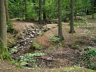 Der Heuchelbach hinter dem „Hirschgarten“