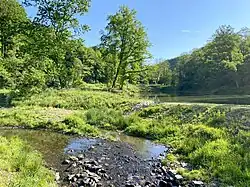 Eschbach umfließt den neuen Schwanenteich (Mai 2022)