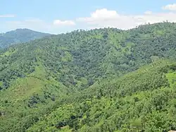 Hera im April (Ende der Regenzeit)