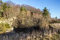 Blick auf das Geotop