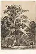 Ancient Oak in the Bois de Boulougne, 1855