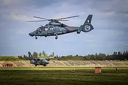 Flugzeug der litauischen Luftstreitkräfte mit dem Doppelkreuz der Jagiellonen im Jahr 2016