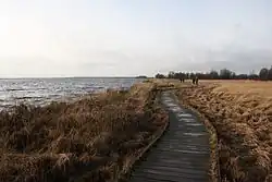 Bohlenweg am Nordufer