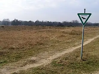 Blick in das Naturschutzgebiet