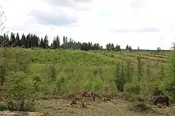 Blick in die Umgebung