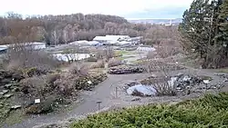 Blick vom Alpinum auf den Experimentellen Botanischen Garten