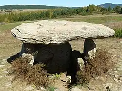 Dolmen des Pascarets oder de La Borda