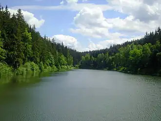 Blick vom Damm in Richtung Stauwurzel